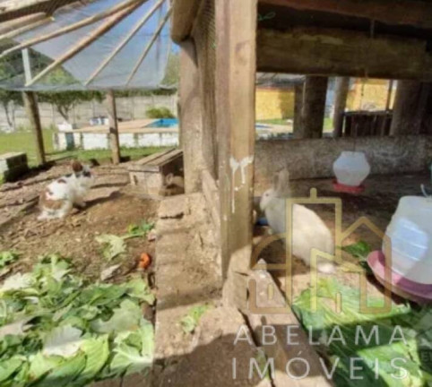 Imagem Chácara com 2 Quartos à Venda, 4.250 m² em Casa Vermelha - Ribeirão Pires Imagem Chácara com 2 Quartos à Venda, 4.250 m² em Casa Vermelha - Ribeirão Pires