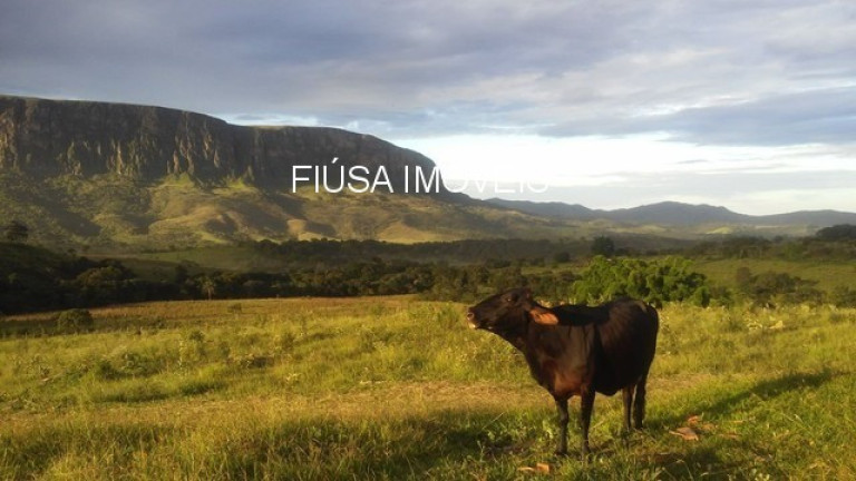 Imagem Imóvel à Venda, em Serra Da Canastra - São Roque De Minas Imagem Imóvel à Venda, em Serra Da Canastra - São Roque De Minas