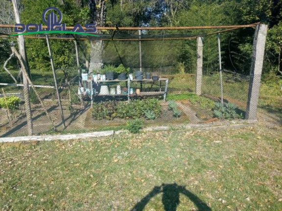 Imagem Chácara com 2 Quartos à Venda, 40 m² em Centro - Viamão