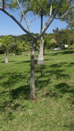 Imagem Imóvel com 4 Quartos à Venda, 20.300 m² em Centro - Araçoiaba Da Serra Imagem Imóvel com 4 Quartos à Venda, 20.300 m² em Centro - Araçoiaba Da Serra