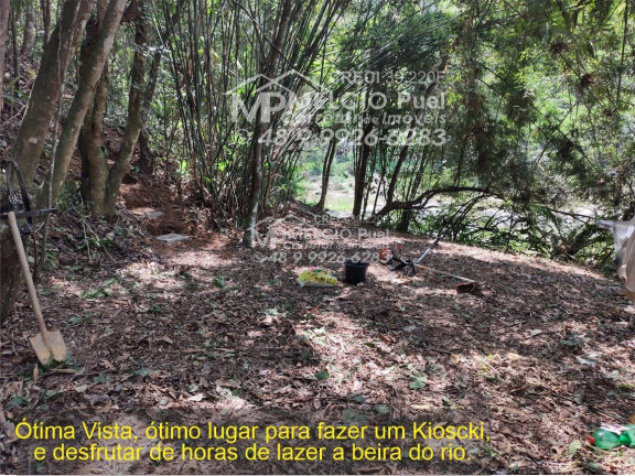 Imagem Imóvel com 3 Quartos à Venda, 3.000 m² em São Valentim - Nova Trento