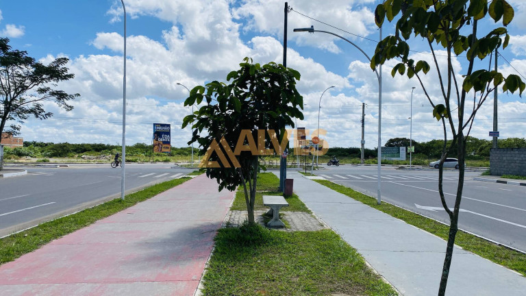 Imagem Terreno à Venda, 5.000 m² em Parque Ipê - Feira De Santana Imagem Terreno à Venda, 5.000 m² em Parque Ipê - Feira De Santana