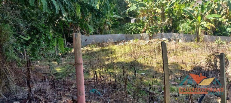 Imagem Terreno à Venda, 267 m² em Vila São Germano - Paraibuna