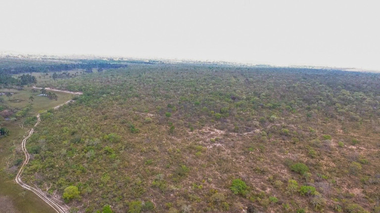 Imagem Fazenda à Venda, 5.050.000 m² em área Rural - Alvorada Do Norte Imagem Fazenda à Venda, 5.050.000 m² em área Rural - Alvorada Do Norte