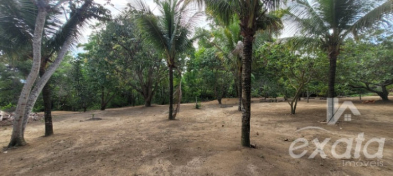 Imagem Chácara com 2 Quartos à Venda, 150 m² em Marbella - Serra Imagem Chácara com 2 Quartos à Venda, 150 m² em Marbella - Serra
