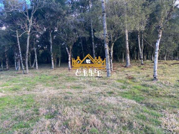 Imagem Imóvel à Venda, 20 m² em Serra Grande - Igrejinha Imagem Imóvel à Venda, 20 m² em Serra Grande - Igrejinha