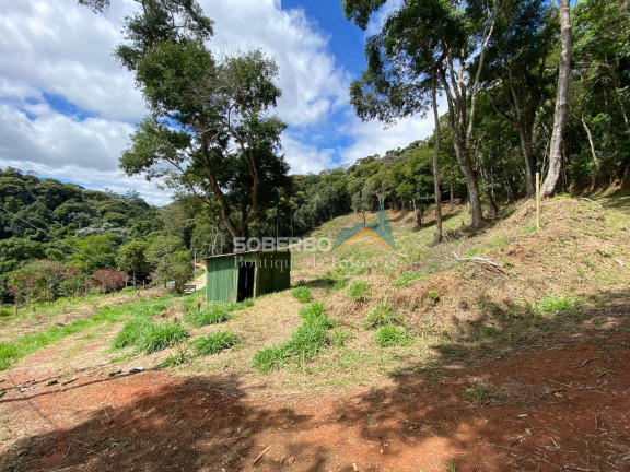 Imagem Imóvel com 3 Quartos à Venda, 70.000 m² em Vargem Grande - Teresópolis Imagem Imóvel com 3 Quartos à Venda, 70.000 m² em Vargem Grande - Teresópolis