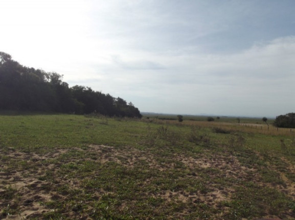 Imagem Chácara à Venda, 8 m² em águas Claras - Viamão Imagem Chácara à Venda, 8 m² em águas Claras - Viamão