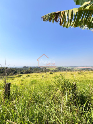 Imagem Imóvel com 4 Quartos à Venda, 1.080 m² em Pederneiras - Engenheiro Coelho