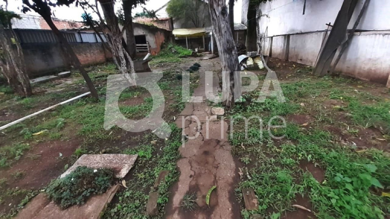 Imagem Terreno à Venda, 780 m² em Santana - São Paulo Imagem Terreno à Venda, 780 m² em Santana - São Paulo