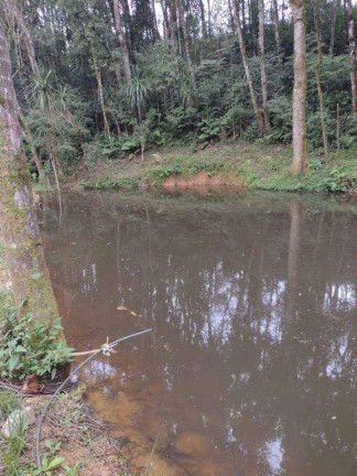 Imagem Imóvel à Venda, 33.000 m² em Itaqui De Cima - Campo Largo Imagem Imóvel à Venda, 33.000 m² em Itaqui De Cima - Campo Largo