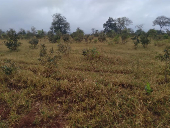 Imagem Fazenda à Venda, 730 m² em Rural - Corguinho