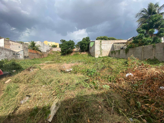 Imagem Terreno à Venda, 1 m² em Dom Aquino Imagem Terreno à Venda, 1 m² em Dom Aquino