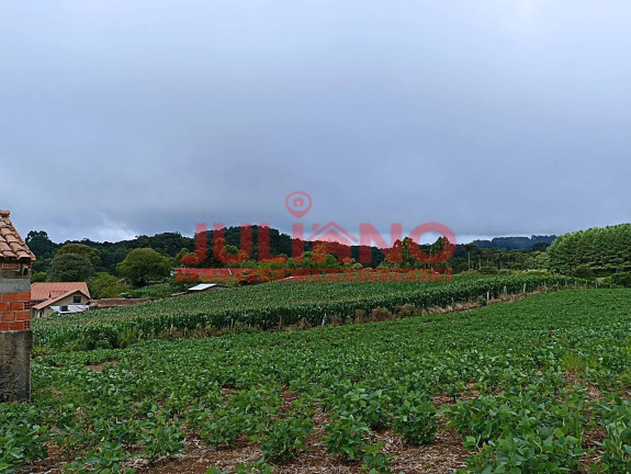 Imagem Terreno à Venda, 5.025 m² em Centenario - São Bento Do Sul Imagem Terreno à Venda, 5.025 m² em Centenario - São Bento Do Sul