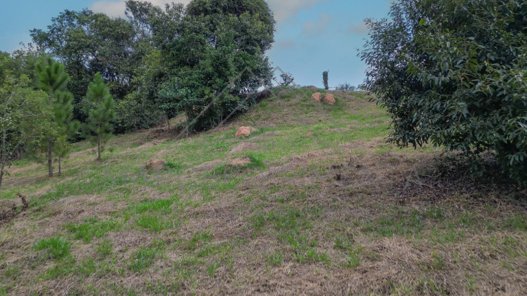 Imagem Terreno à Venda, 21.000 m² em Chácaras Alpina - Valinhos Imagem Terreno à Venda, 21.000 m² em Chácaras Alpina - Valinhos