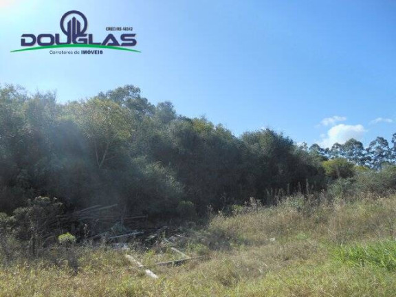 Terreno à Venda, 600 m² em águas Claras - Viamão