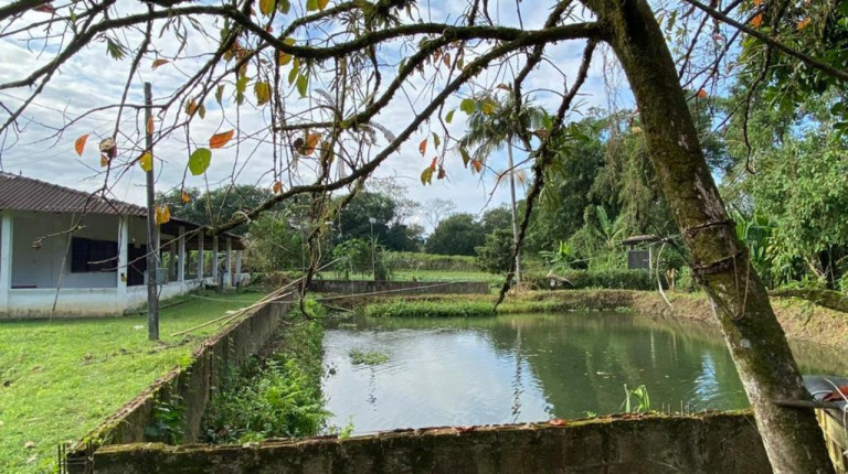 Imagem Imóvel com 3 Quartos à Venda, 12.000 m² em Cachoeira - Antonina Imagem Imóvel com 3 Quartos à Venda, 12.000 m² em Cachoeira - Antonina