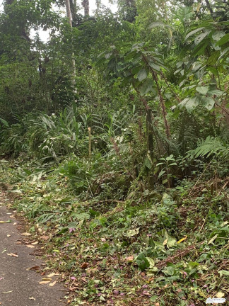 Imagem Terreno à Venda, 350 m² em Corcovado - Ubatuba