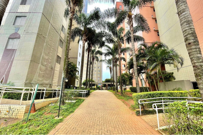 Imagem Apartamento com 3 Quartos à Venda, 61 m² em Cambuci - São Paulo Imagem Apartamento com 3 Quartos à Venda, 61 m² em Cambuci - São Paulo