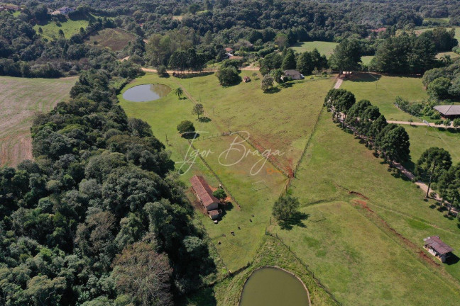 Imagem Imóvel com 2 Quartos à Venda, 22.000 m² em Jardim Florestal - Campo Largo