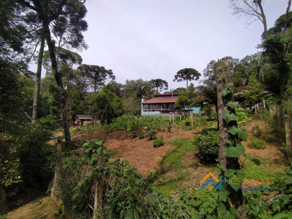 Imagem Chácara com 3 Quartos à Venda, 194 m² em Campestre Da Faxina - São José Dos Pinhais Imagem Chácara com 3 Quartos à Venda, 194 m² em Campestre Da Faxina - São José Dos Pinhais