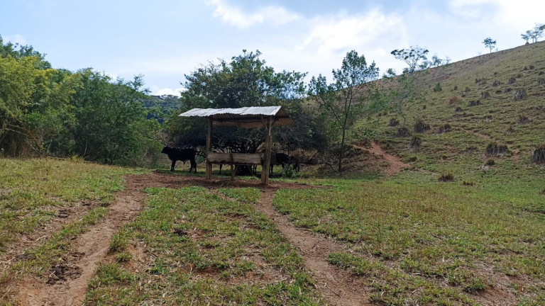 Imagem Chácara com 1 Quarto à Venda, 10 m² em Capim Da Angola - Paraibuna