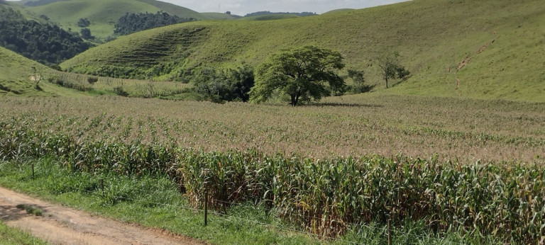 Imagem Fazenda à Venda, 150 m² em Capitão Mar - Arapeí Imagem Fazenda à Venda, 150 m² em Capitão Mar - Arapeí