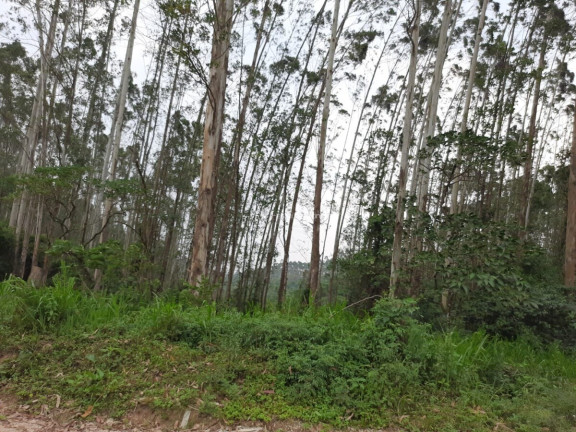 Imagem Fazenda à Venda, 127.997 m² em Pacotuba - Almirante Tamandaré