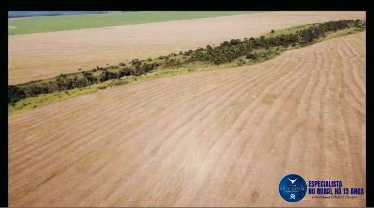 Imagem Fazenda à Venda, 60 m² em Zona Rural - Piranhas Imagem Fazenda à Venda, 60 m² em Zona Rural - Piranhas