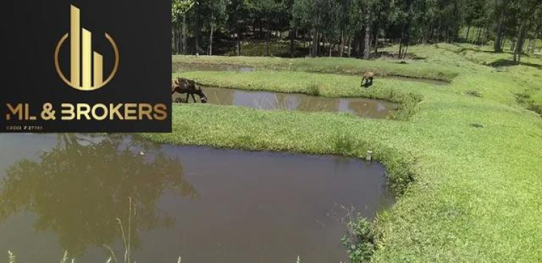 Imagem Imóvel com 2 Quartos à Venda, 81.000 m² em Agua Amarela - Antonio Olinto Imagem Imóvel com 2 Quartos à Venda, 81.000 m² em Agua Amarela - Antonio Olinto