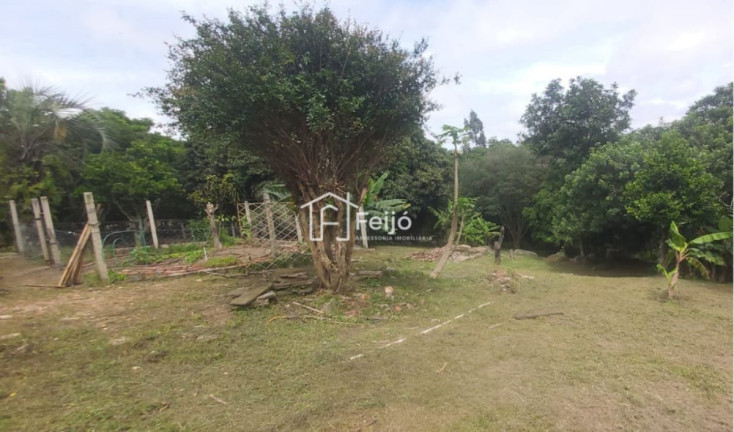 Imagem Fazenda à Venda, 6.000 m² em Lageado - Porto Alegre