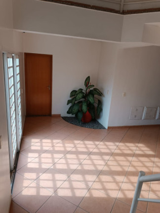 Imagem Kitnet com 2 Quartos para Alugar, 46 m² em Jardim América - Goiânia Imagem Kitnet com 2 Quartos para Alugar, 46 m² em Jardim América - Goiânia