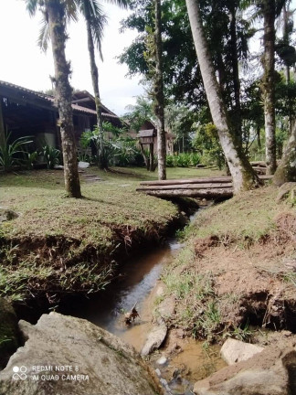 Imagem Terreno à Venda, 6.000 m² em Sertãozinho - Itapema