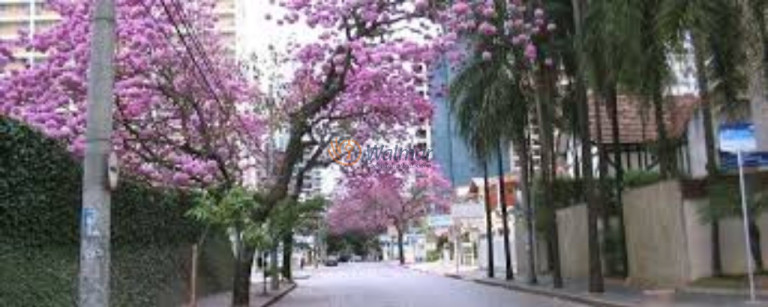 Imagem Imóvel com 3 Quartos à Venda, 181 m² em Cambuí - Campinas Imagem Imóvel com 3 Quartos à Venda, 181 m² em Cambuí - Campinas