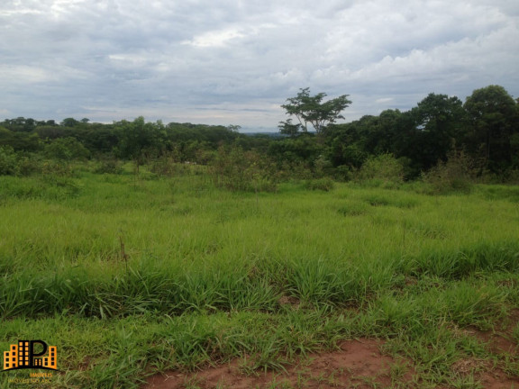Imagem Imóvel à Venda, 98.000 m² em Nova Aliança - Buritama Imagem Imóvel à Venda, 98.000 m² em Nova Aliança - Buritama