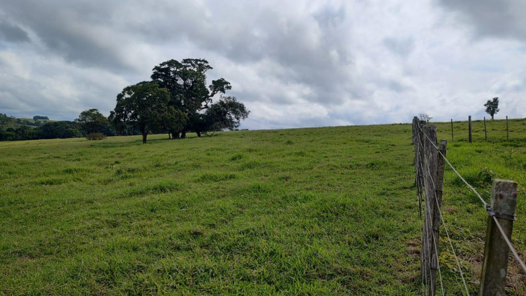 Imagem Fazenda à Venda, 64 m² em Rural - Itapetininga
