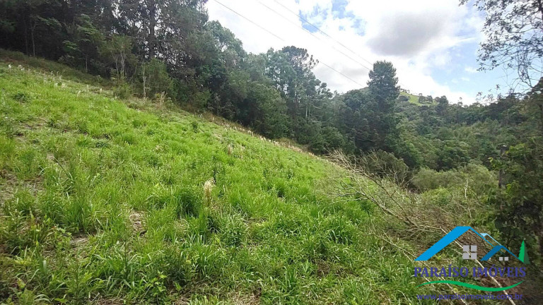 Imagem Chácara à Venda, 20 m² em Centro - Camanducaia