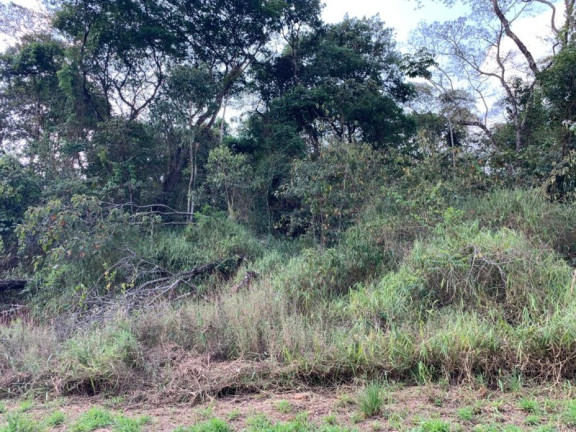 Imagem Imóvel à Venda, 1.000 m² em Mirante Da Mata - Nova Lima Imagem Imóvel à Venda, 1.000 m² em Mirante Da Mata - Nova Lima