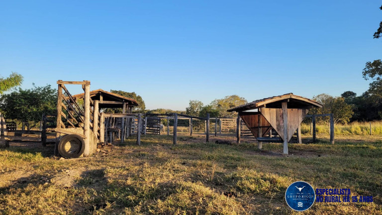Imagem Fazenda à Venda, 37 m² em Zona Rural - Faina Imagem Fazenda à Venda, 37 m² em Zona Rural - Faina