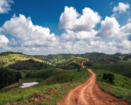 Imagem Imóvel à Venda, 20.000 m² em Br 040 - Juiz De Fora