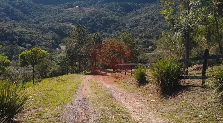 Imagem Chácara com 1 Quarto à Venda, 1 m² em Itambezinho - Campo Largo