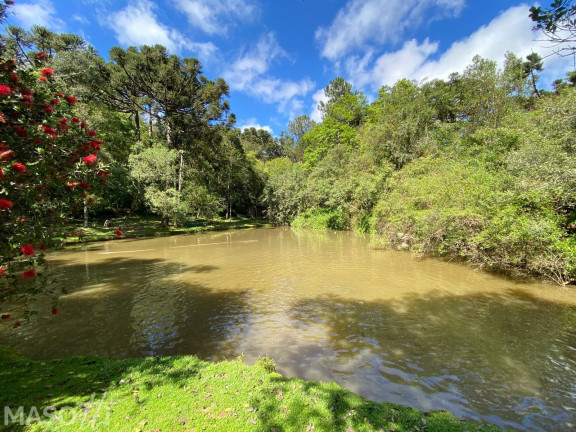 Imagem Chácara com 2 Quartos à Venda, 30.000 m² em Araripe - Gramado Imagem Chácara com 2 Quartos à Venda, 30.000 m² em Araripe - Gramado