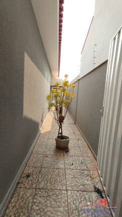 Imagem Casa com 3 Quartos à Venda, 250 m² em Jardim São Braz - Birigui Imagem Casa com 3 Quartos à Venda, 250 m² em Jardim São Braz - Birigui
