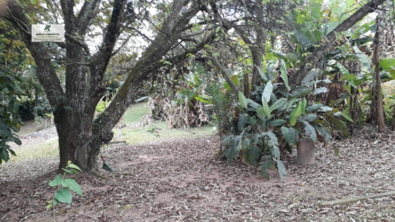 Imagem Chácara com 2 Quartos à Venda, 6.000 m² em Alto Da Serra - São Roque Imagem Chácara com 2 Quartos à Venda, 6.000 m² em Alto Da Serra - São Roque