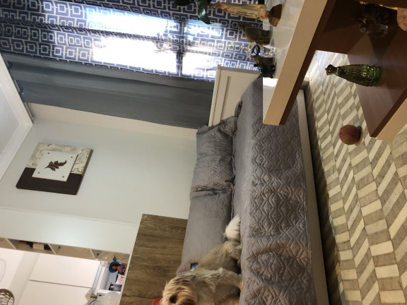 Imagem Apartamento com 2 Quartos para Alugar, 41 m² em Jardim Da Glória - Cotia Imagem Apartamento com 2 Quartos para Alugar, 41 m² em Jardim Da Glória - Cotia