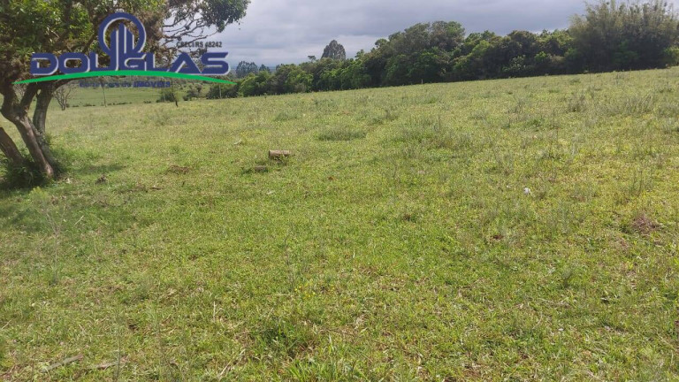Imagem Chácara à Venda, 3 m² em Viamão Imagem Chácara à Venda, 3 m² em Viamão