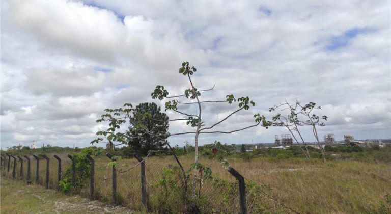 Imagem Terreno à Venda, 17.000 m² em Centro - Camaçari Imagem Terreno à Venda, 17.000 m² em Centro - Camaçari