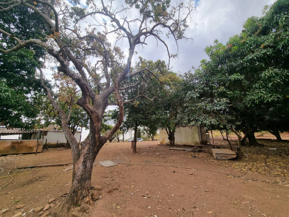 Imagem Fazenda à Venda, 9 m² em Interlândia - Anápolis Imagem Fazenda à Venda, 9 m² em Interlândia - Anápolis