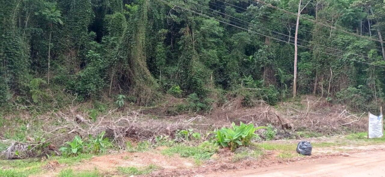 Imagem Terreno em Condomínio à Venda, 484 m² em Massaguaçu - Caraguatatuba Imagem Terreno em Condomínio à Venda, 484 m² em Massaguaçu - Caraguatatuba