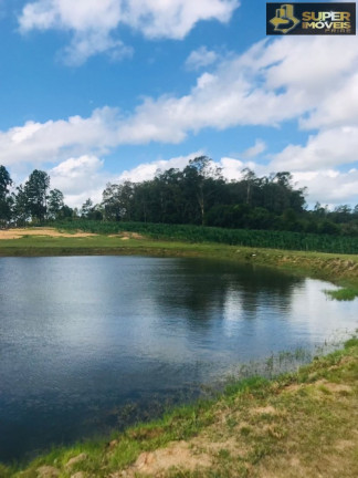 Imagem Imóvel com 7 Quartos à Venda, 120.000 m² em Monte Bonito - Pelotas Imagem Imóvel com 7 Quartos à Venda, 120.000 m² em Monte Bonito - Pelotas